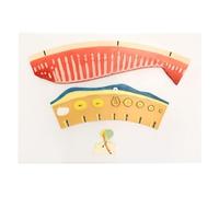 RMJEZTQD Modelo de demostración del ciclo menstrual femenino, modelo de estudio del proceso de ovulación femenina, degeneración hipotalámica, hipofisaria, ovárica y endometrial, for la enseñanza