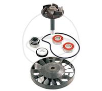 RMS 100110070 - Kit de reparación de bomba de agua para motores (125/180/200 cm³, 4T)