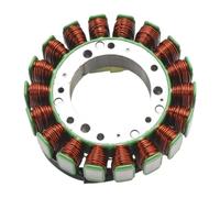 RMXGZQ Generador de estator 5032611 Compatible con fueraborda 40HP 50HP 4T 2001 2002 2003 2004