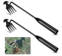 RNHDLY 2 Piezas Extractor Malas Hierbas Jardin de Acero Inoxidable, Extractor de Malas Hierbas con Mango Ergonómico de Madera Natural, Herramienta de Escarda para Quitar Las Malas Hierbas del Jardín