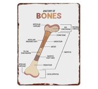 RNUMLIGH Anatomy of Bones Aluminum Sign Skeletal System Educational Decor for Classroom 8 X 12 in