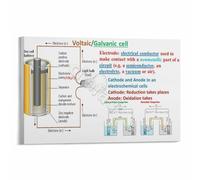 RNUMLIGH AP Chemistry Educational Wall-Art Galvanic Cell Poster Canvas Print for College Prep Classroom Decor Teaching Resource(Unframed,08x12inch(20x30cm))