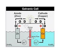 RNUMLIGH AP Chemistry Educational Wall-Art Galvanic Cell Poster Canvas Print for College Prep Classroom Decor Teaching Resource(Framed,08x12inch(20x30cm))