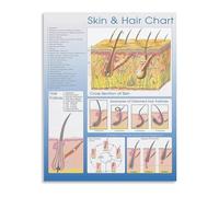 RNUMLIGH Beauty Reference Poster Skin and Hair Type Analysis Care Routine Guide Canvas Wall-Art for Salon Studio Home(Framed,16x24inch(40x60cm))