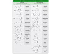 RNUMLIGH Biology Educational Poster Amino Acids Chart Science Wall-Art for Classroom Decor Office Home Aesthetic(Framed,12x18inch(30x45cm))