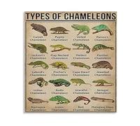 RNUMLIGH Biology Educational Poster - Chameleon Species and Types Chart for Classroom and Home Wall-Art(Framed,16x24inch(40x60cm))