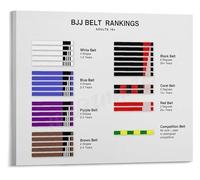 RNUMLIGH BJJ Belt Ranking System Poster Brazilian Jiu Jitsu Progress Chart Wall-Art for Home Gym Martial Arts Dojo Decor(Framed,12x18inch(30x45cm))