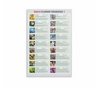 RNUMLIGH Blossom Remedies Chart Flower Essences Guide Emotional Support Reference for Holistic Health Home Office Wall Decor(Unframed,12x18inch(30x45cm))