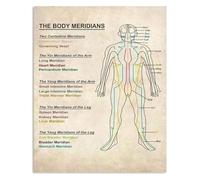RNUMLIGH Body Meridians Guide Metal Sign Acupuncture Point Chart for Acupuncturist Clinic Room Wall Decor 8 X 12 inch