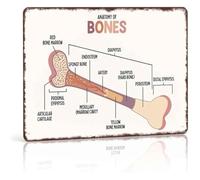 RNUMLIGH Bones Of The Body Metal Sign Retro Science Wall-Art For Laboratory Veterinary Clinic Student Dorm Decor 8 X 12 inch