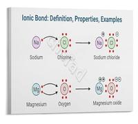 RNUMLIGH Chemistry Basics Poster Bond Definition and Examples Educational Science Wall-Art for Study(Unframed,08x12inch(20x30cm))