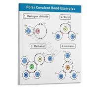 RNUMLIGH Chemistry Decor Polar Covalent Bond Examples Educational Poster Scientific Reference Wall-Art for Classroom(Unframed,12x18inch(30x45cm))