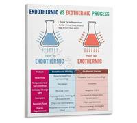 RNUMLIGH Chemistry Educational Poster Comparing Endothermic and Exothermic Reactions Study Aid Wall Chart for Learning(Framed,16x24inch(40x60cm))