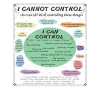 RNUMLIGH Circle of Control Metal Tin Sign Things I Can Let Go Reference for Counselor Social Worker School Psychologist 8 X 12 inch