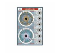 RNUMLIGH Complete Iridology Chart Poster, Diagnostic Reference for Eye Analysis Canvas Art, for Herbalist, Healer, Student Study(Unframed,16x24inch(40x60cm))
