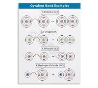 RNUMLIGH Covalent Bond Examples Chart Chemistry Visual Learning Guide Educational Science Poster for School Study(Unframed,08x12inch(20x30cm))