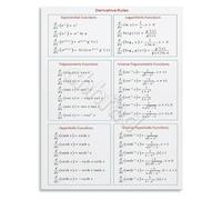 RNUMLIGH Derivative Rules Cheat Sheet Calculus Math Poster Educational Reference Guide for Students and Teachers(Framed,16x24inch(40x60cm))