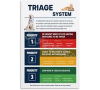 RNUMLIGH Dog Cat Pet First Aid Triage Chart Emergency Care Educational Guide for Animal Training Facility Veterinary Clinic Home(Framed,12x18inch(30x45cm))