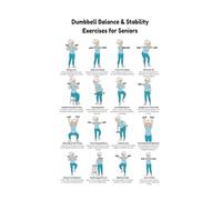RNUMLIGH Dumbbell Workout Chart for Seniors Low Impact Full Body Exercise Guide Wall Poster Home Gym Decor(Unframed,16x24inch(40x60cm))