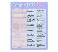 RNUMLIGH ECG Cheat Sheet Canvas Wall-Art Veterinary Educational Chart for Vet Tech Office Animal Hospital Decor(Unframed,16x24inch(40x60cm))