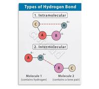 RNUMLIGH Educational Chemistry Wall-Art Types of Hydrogen Bonds Poster Science Diagram for Classroom or(Unframed,16x24inch(40x60cm))