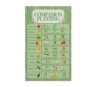 RNUMLIGH Educational Companion Planting Chart Poster Vegetable Herb Gardening Guide Reference Canvas Wall-Art for Home Kitchen Office Classroom(Framed,16x24inch(40x60cm))