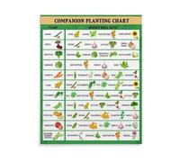 RNUMLIGH Educational Companion Planting Poster and Chart Vegetable Herb Gardening Guide Wall-Art for Home Kitchen Office or Study Room(Framed,12x18inch(30x45cm))
