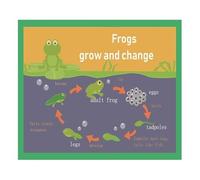 RNUMLIGH Educational Poster Frogs Grow And Change Mind Mapping English Teaching Aid For Classroom And Homeschool Decor(Framed,08x12inch(20x30cm))