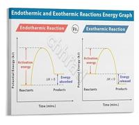 RNUMLIGH Endothermic Exothermic Reactions Poster Chemistry Science Study Guide Formula Reference Educational Classroom Wall Decor(Framed,16x24inch(40x60cm))