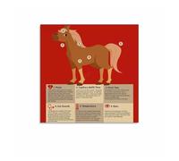 RNUMLIGH Essential Horse Health Chart, Vital Signs Information Poster for Equine Owners and Riding School Decor(Unframed,08x12inch(20x30cm))
