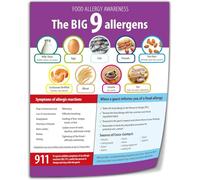 RNUMLIGH Food Groups Educational Chart Major Types Of Foods Nutrition Basics Reference For Kitchen Study Classroom Poster(Framed,16x24inch(40x60cm))