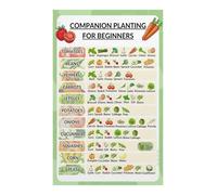 RNUMLIGH Gardening Cheat Sheet Poster Companion Planting Guide for Raised Beds Planter Box Herb Vegetable Garden Easy Reference for Beginners(Framed,16x24inch(40x60cm))