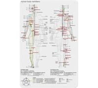 RNUMLIGH Holistic Health Chart Five Elements Meridian Acupuncture Points Aluminum Sign Metal Poster for TCM Office Space Yoga Room Decor 8 X 12 inch