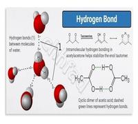 RNUMLIGH Intermolecular Forces Educational Poster Hydrogen Bonding Chemistry Chart for High School and College(Unframed,08x12inch(20x30cm))