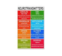 RNUMLIGH Neurotransmitters Metal Tin Sign Mental Health Infographic Educational Science Poster Wall-Art for Psychology Classroom Office Clinic Decor 8 X 12 inch