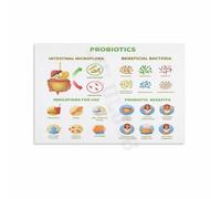 RNUMLIGH Nutrition Science Poster Guide to Probiotics and Their Role in Health Canvas Wall-Art for Classroom Study Room Decor(Unframed,12x18inch(30x45cm))