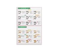 RNUMLIGH Pet Body Condition Score Guide Metal Sign For Dogs And Cats Weight Awareness Chart Educational Reference For Responsible Pet Care And Home 8 X 12 in