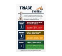 RNUMLIGH Pet CPR and First Aid Chart Emergency Triage Veterinary Poster Quick Guide for Animal Clinic Training Facility Office Wall-Art Reference(Unframed,12x18inch(30x45cm))