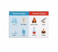 RNUMLIGH Physical and Chemical Changes Poster, Science Diagram & Anchor Chart, Classroom Wall Decor for Middle School, Study(Unframed,08x12inch(20x30cm))