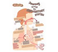 RNUMLIGH Pulmonology Anatomy Poster, Respiratory Tract Diagram for Medical Study, Elegant Wall Art for Hospital, Classroom, or Home Study Decor(Unframed,08x12inch(20x30cm))