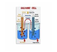 RNUMLIGH Redox Reaction Educational Poster Galvanic Cell Diagram Canvas Wall-Art for Science Classroom Decor Chemistry Teacher Resources(Framed,08x12inch(20x30cm))
