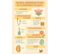 RNUMLIGH Reproduction in Flowering Plants Educational Poster Botanical Biology Chart for Science Classroom Study Room(Unframed,12x18inch(30x45cm))