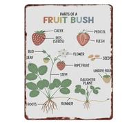 RNUMLIGH Retro Botanical Fruit Bush Anatomy Chart Metal Sign Aluminum Educational Wall Hanging for Plant Lovers 8 X 12 in