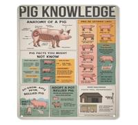 RNUMLIGH School Pork Production Anatomy Metal Sow Reproductive Tract Digestive System Poster Butcher Knowledge Plaque Meat Science Wall-Art Tin Sign 8 X 12 inch