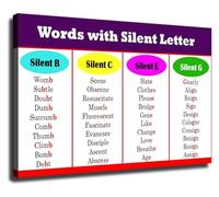 RNUMLIGH Silent Letter Words Poster English Language Learning Chart Educational Grammar Wall-Art for School Classroom Home Office Decor(Framed,08x12inch(20x30cm))