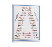 RNUMLIGH Solfege Hand Signs Poster Chromatic Scale Music Theory Reference Canvas Wall-Art for Studio(Framed,16x24inch(40x60cm))