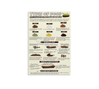 RNUMLIGH Stool Type Identification Chart Bristol Scale 1 Through 7 Digestive System Health Metal Wall Sign for Doctor Office Bathroom Patient Area 8 X 12 inch
