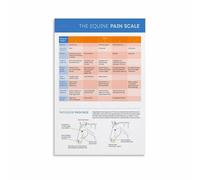 RNUMLIGH Understanding Your Horse Poster Equine Body Language Chart Canvas Wall-Art for Equestrian Home Study Room(Framed,12x18inch(30x45cm))
