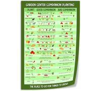 RNUMLIGH Vegetable Companion Planting Guide Garden Layout Plant Combinations Chart For Pest Control Gardeners(Unframed,16x24inch(40x60cm))