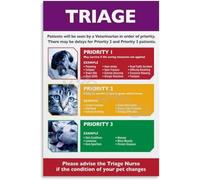 RNUMLIGH Veterinary Pet First Aid Triage Poster Emergency Care Guide for Dogs Cats Animal Hospital Clinic Office Wall-Art(Framed,16x24inch(40x60cm))